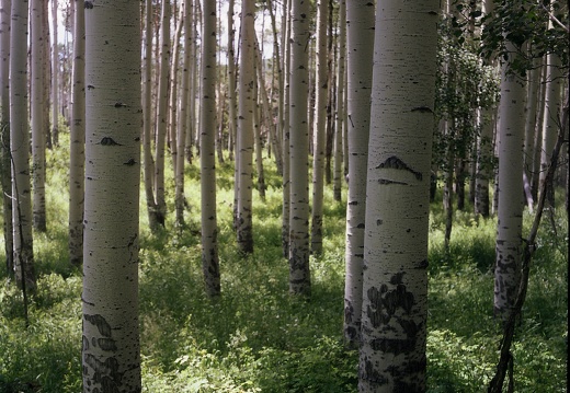 Colorado Western Slope